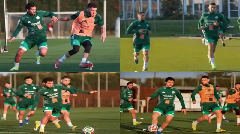 المنتخب الجزائري يبدأ معسكر إيطاليا بغياب مؤثر لأنيس حاج موسى